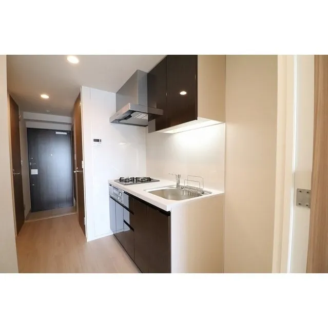 Laxrass Iwata - Interior - ["Cabinetry", "Countertop", "Sink"]