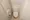 Hmlet Shinjuku Kawadacho - Interior - ["Toilet seat", "Toilet", "Plumbing fixture"] thumbnail