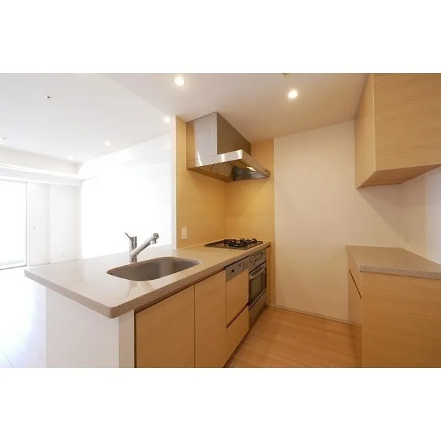 Comforia Shinjuku East Side Tower - Interior - ["Cabinetry", "Countertop", "Property"]