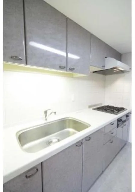 Lapyuta - Interior - ["Kitchen Sink", "Kitchen", "Major appliance"]
