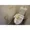 Comforia Morishita WEST - Interior - ["Product", "Fluid", "Fixture"] thumbnail