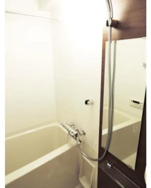 Buena Vista Yoyogi - Interior - ["Plumbing fixture", "Flooring", "Bathroom"]