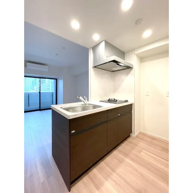 Predia Court Morishita Terrace - Interior - ["Tap", "Countertop", "Cabinetry"]