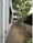 Takanawa Heights - Interior - ["Concrete", "Walkway", "Siding"] thumbnail