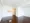 Lieto Court Arc Tower - Interior - ["Property", "Room", "Floor"] thumbnail