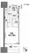 Park Habio Musashikoyama - Floor Plan - [] thumbnail