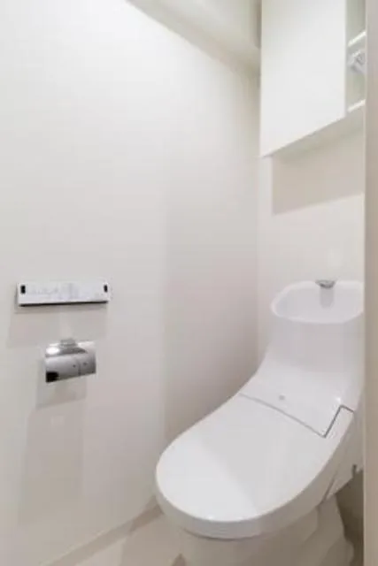 SASAZUKA TODAY - Interior - ["Toilet seat", "Toilet", "Flooring"]