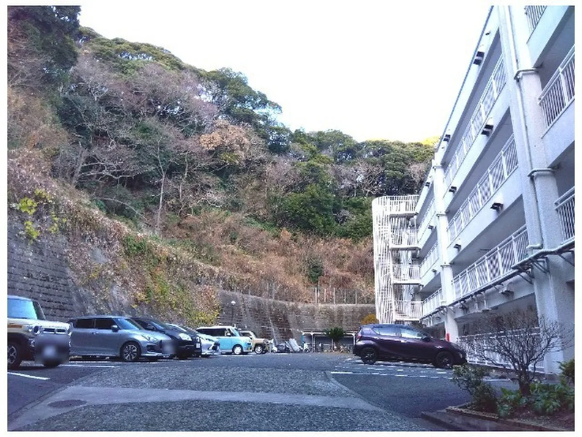 Famille Zushi