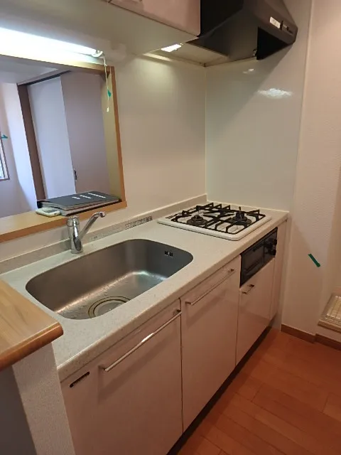 Nihonbashi First Residence - Interior - ["Kitchen sink", "Sink", "Tap"]