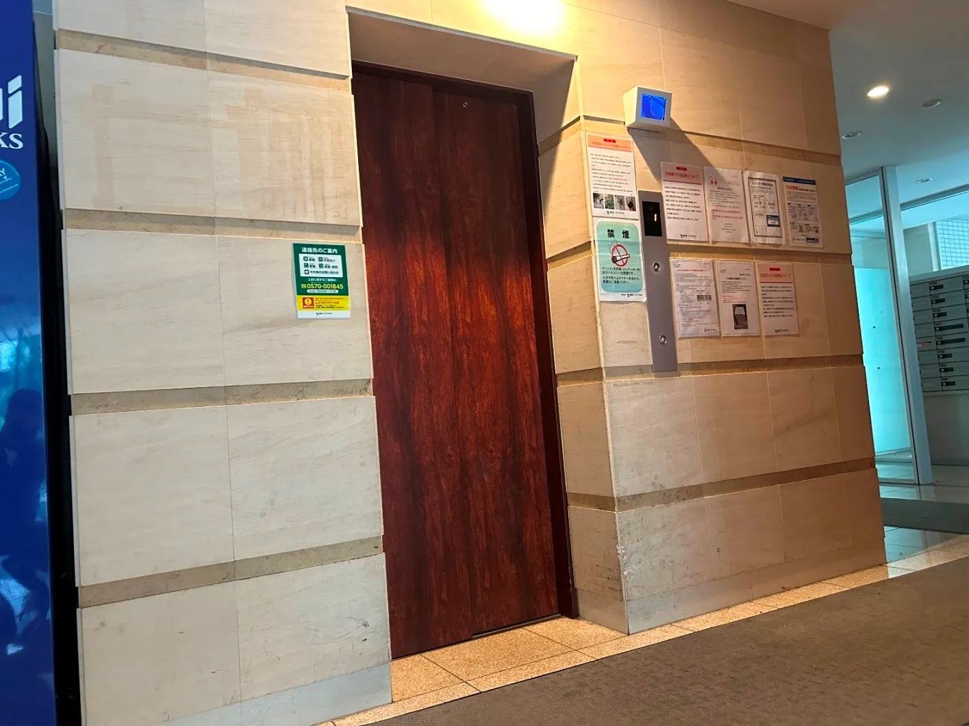Galleria Higashi Shinjuku - Other - ["Wood", "Fixture", "Flooring"]