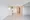Comforia Takenotsuka East - Interior - ["Flooring", "Floor", "Wood flooring"] thumbnail