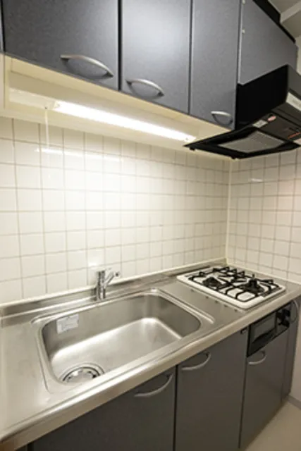 Grand Jade - Interior - ["Kitchen", "Flooring", "Kitchen Sink"]