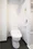 Composite Nogata - Interior - ["Toilet", "Bathroom", "Fixture"] thumbnail
