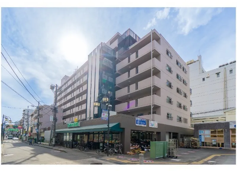 Heights Kumegawa image