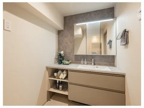 Green Oasis Akasaka - Interior - ["Bathroom cabinet", "Bathroom Sink", "Interior design"]
