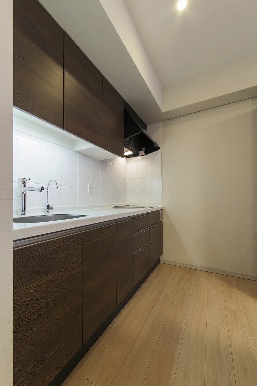 Platine Nishi Shinjuku - Interior - ["Cabinetry", "Property", "Sink"]