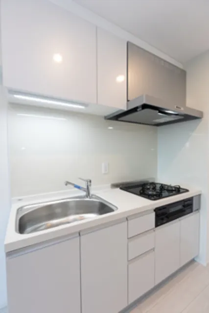 In Style Residence Honkomagome - Interior - ["Kitchen sink", "Cabinetry", "Property"]