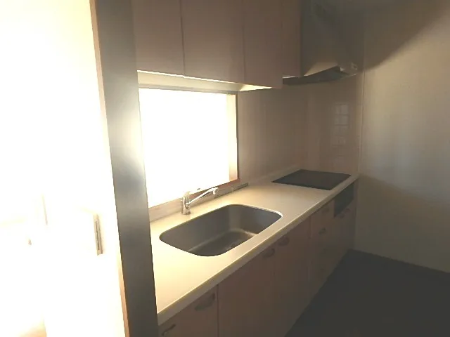 Acty Shiodome - Interior - ["Tap", "Sink", "Cabinetry"]