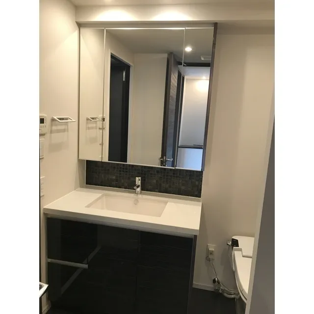 Comforia Shinjuku East Side Tower - Interior - ["Mirror", "Tap", "Sink"]