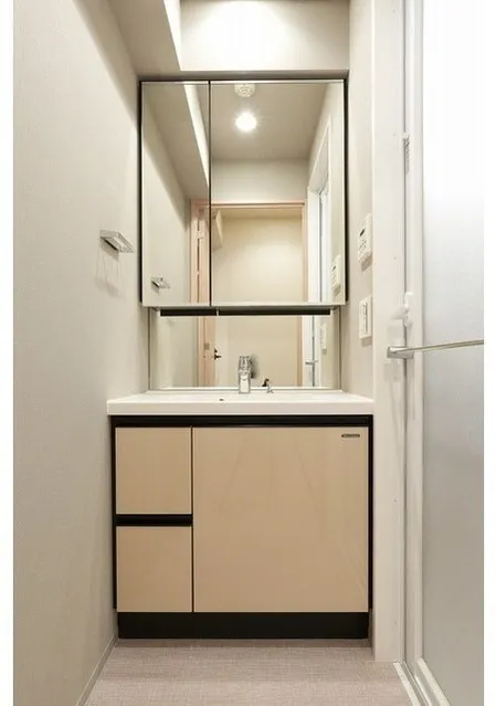 LEFONT PROGRESS SHIBUYA HILLTOP - Interior - ["Cabinetry", "Mirror", "Tap"]