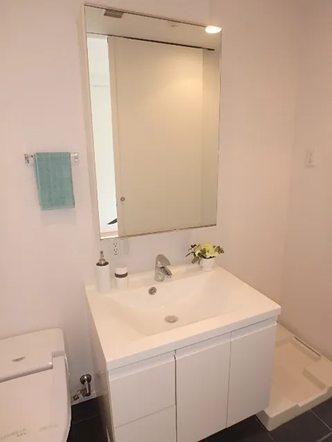 Residence Shirokane Park Front - Interior - ["Bathroom Sink", "Sink", "Plumbing fixture"]