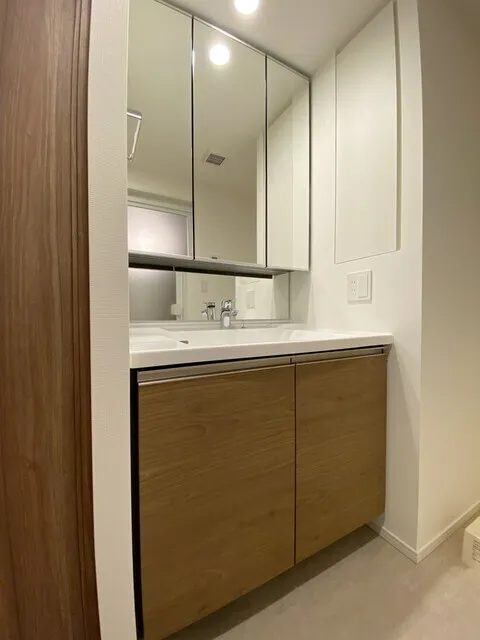 Park Tower Kachidoki South Building - Interior - ["Flooring", "Bathroom Sink", "Interior design"]