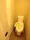 Le Fon Blanche Shinagawa Minamioi - Interior - ["Toilet seat", "Toilet", "Plumbing fixture"] thumbnail