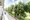 Olympus Sumida Park Building 1 - Other - ["Overhead power line", "Spring", "Electrical cable"] thumbnail