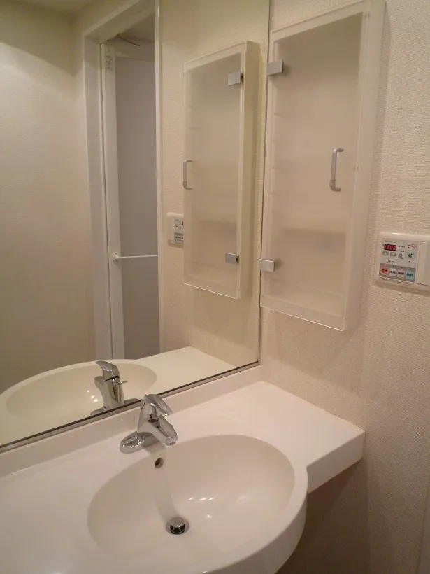 RESIDIA Ikebukuro West - Interior - ["Brown", "Mirror", "Tap"]