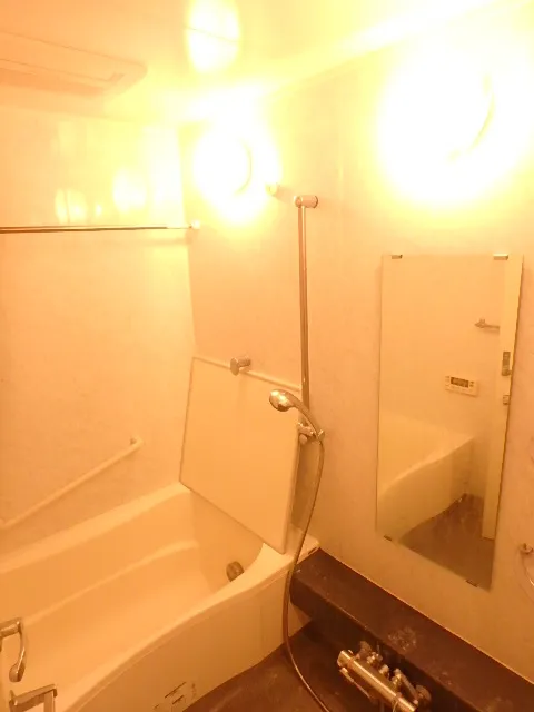 Ecology Asakusa Bridge Residence - Interior - ["Brown", "Bathtub", "Plumbing fixture"]