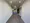 Lumiec Suite Ebisu - Interior - ["Flooring", "Floor", "Ceiling"] thumbnail