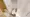 Hmlet Kinshicho II - Interior - ["Flooring", "Floor", "Plumbing fixture"] thumbnail