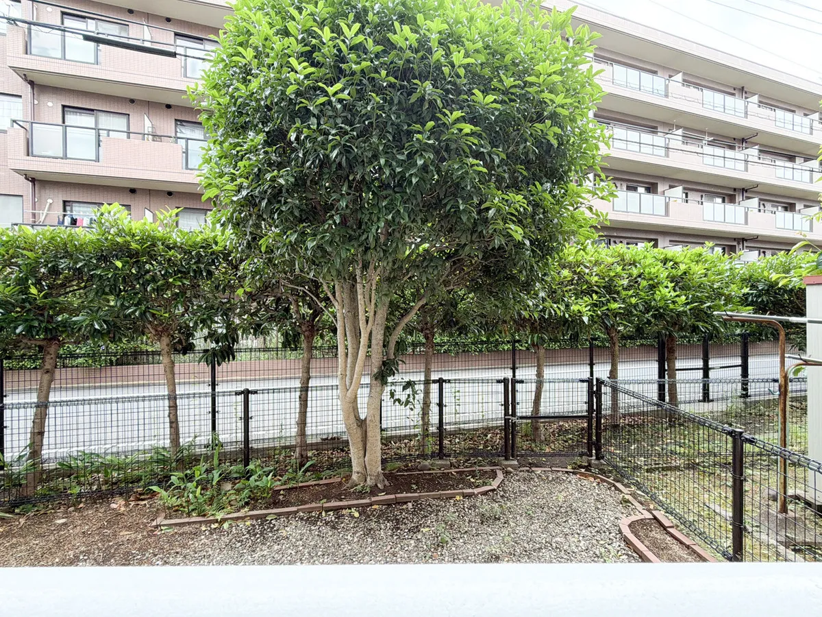 Highness Dai-ni Fussa