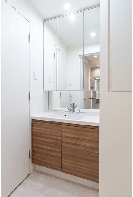 LUMIEC BUNKYO SENGOKU - Interior - ["Bathroom Sink", "Flooring", "Cabinetry"]