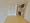 Ipse Tamagawa Green Space - Interior - ["Flooring", "Floor", "Wood flooring"] thumbnail