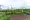 OP.St.M - Interior - ["pole", "Engineering", "Public utility"] thumbnail