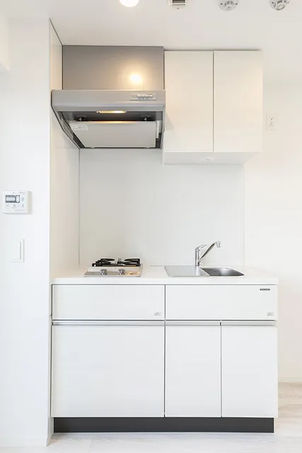 Lions Forsia Kiyosumi Shirakawa - Interior - ["Cabinetry", "Sink", "Kitchen"]