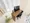 Mynavi STAY Neo Vista Asakusa Tawaramachi - Interior - [] thumbnail
