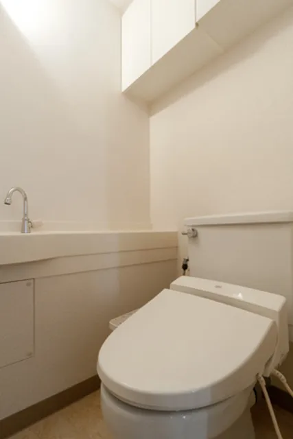 Nishiwaseda Park Tower - Interior - ["Plumbing fixture", "Bathroom", "Flooring"]