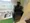 Maison De Ville Meguro - Interior - ["Kitchen Appliance", "Major appliance", "Electronic device"] thumbnail