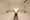 Hmlet Nakano Sakaue - Interior - ["Wood", "Flooring", "Floor"] thumbnail