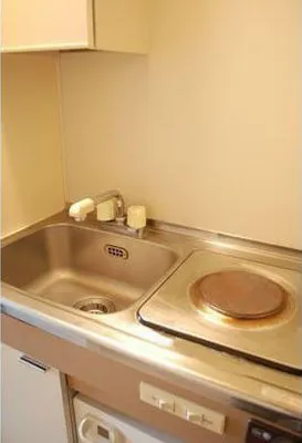 Sylpheed Platinum - Interior - ["Sink", "Plumbing fixture", "Kitchen Sink"]
