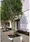 Rivere Ikebukuro - Exterior - ["Woody plant", "Shade"] thumbnail