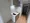 Gran Casa Sumiyoshi II - Interior - ["Floor", "Flooring", "Apartment"] thumbnail