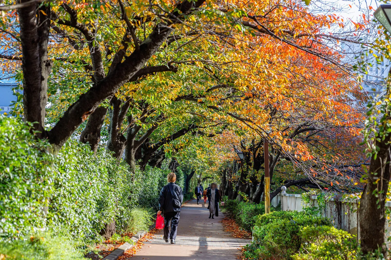The Parkhabio Meguro Place - Exterior - []