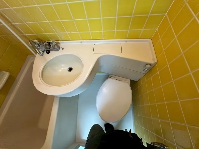 Imperial Akasaka Forum - Interior - ["Bathroom", "Plumbing fixture", "Toilet"]
