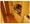 Welt Waterfront - Interior - ["Floor", "Flooring", "Wood flooring"] thumbnail