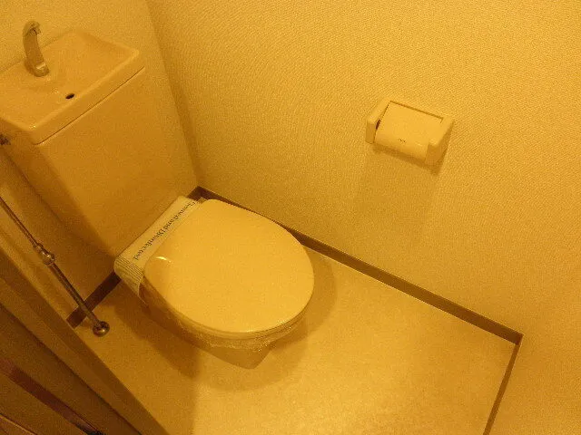 Winbell Duet Ebisu 4 - Interior - ["Toilet seat", "Toilet", "Flooring"]