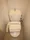 Epic Higashi Nihonbashi Residence - Interior - ["Toilet seat", "Plumbing fixture", "Toilet"] thumbnail