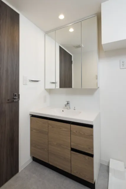 Live Garden Azumabashi - Interior - ["Flooring", "Bathroom Sink", "Bathroom cabinet"]